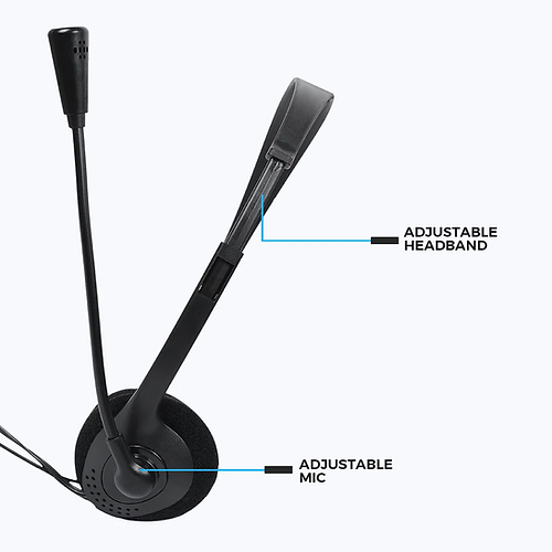 Zebronics Zeb-17HM Headphone